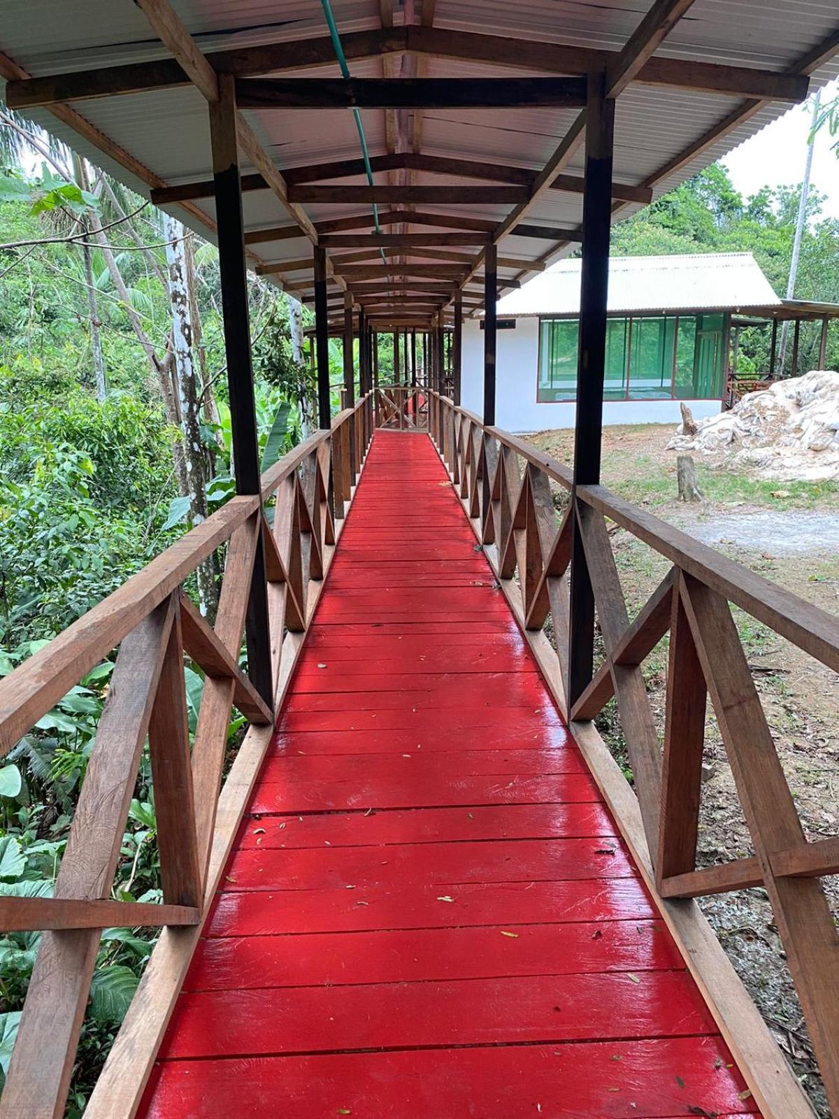 Amazon Acai Lodge Leticia Exterior foto